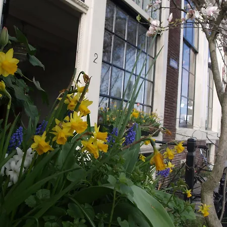 Bed & Breakfast De Baronie Amsterdam